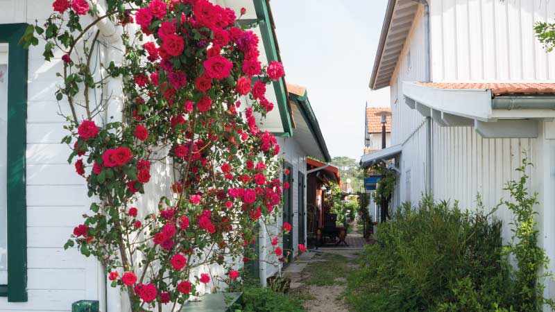 Village de l'herbe avec rue colorées et fleurs sur la droite et au fond le bassin