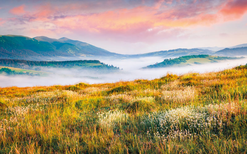 tableau de nature