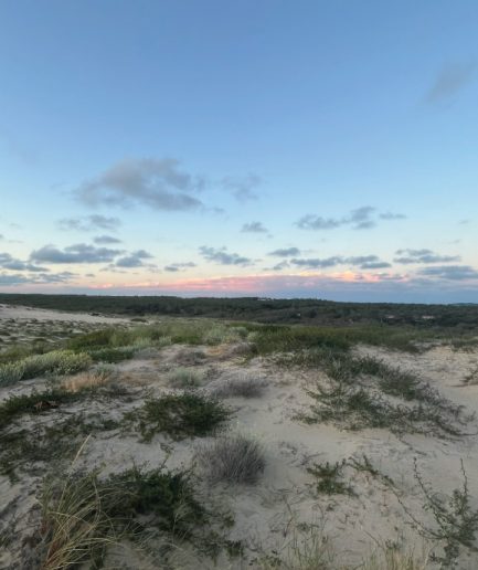 dunes du cap ferret