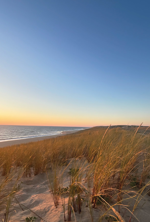 plage-de-l'horizon-cap-ferret-ocean
