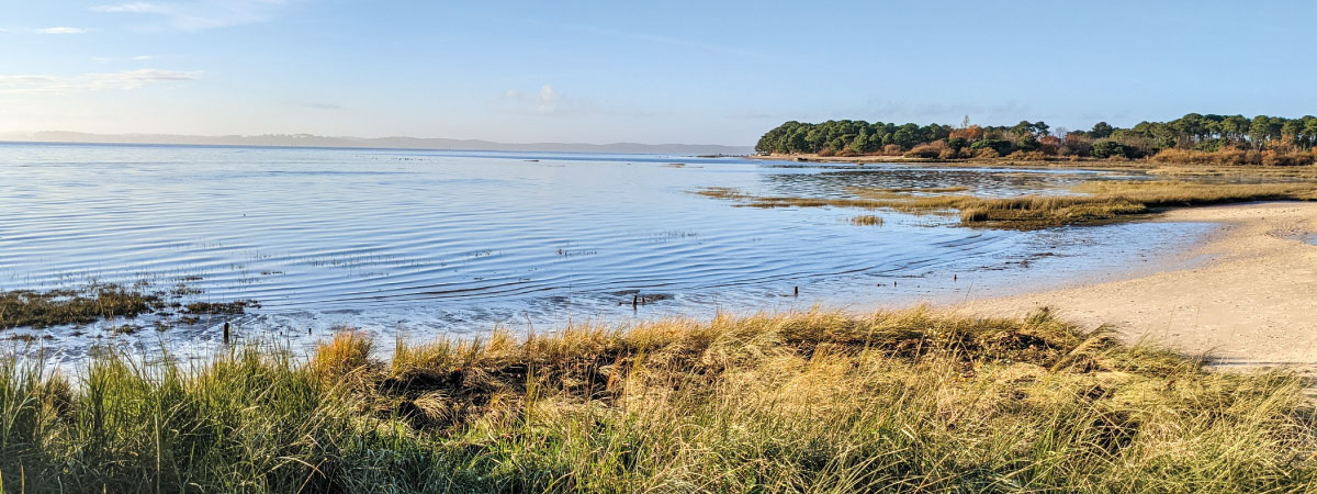 la lugue du cap ferret sous marée basse
